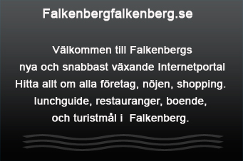 Välkommen till falkenbergfalkenberg.se en ständigt växande internetportal!
Den ultimataportalen med:Företagssök,nöjesguide, turistguide, shopping, boende/hotell!